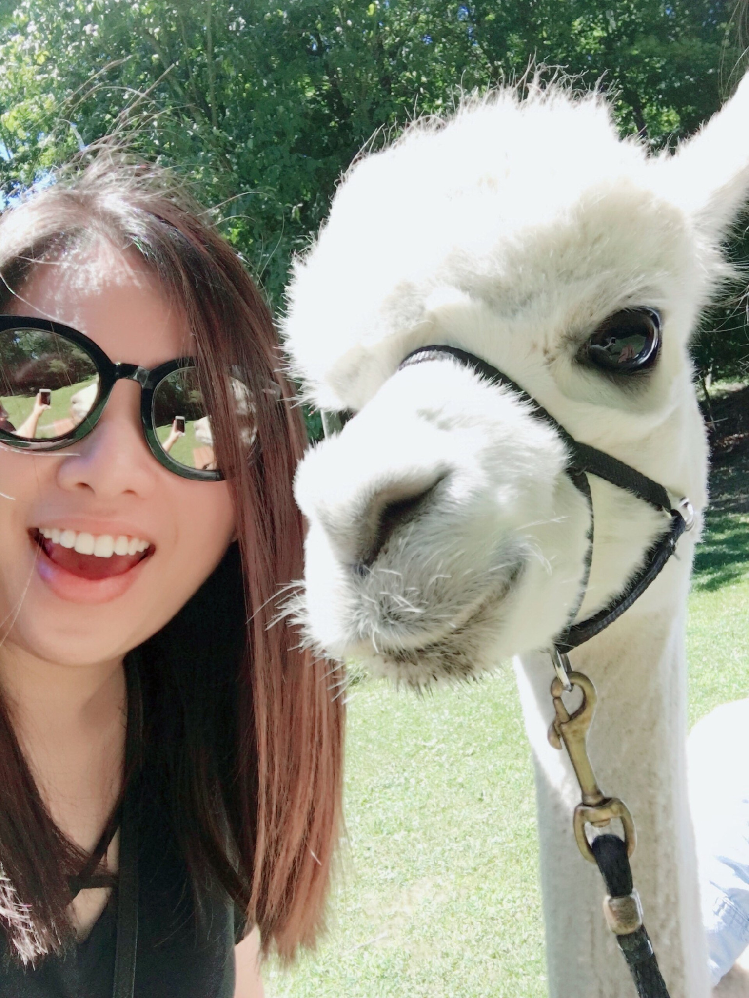 Min smiling beside an alpaca outdoors