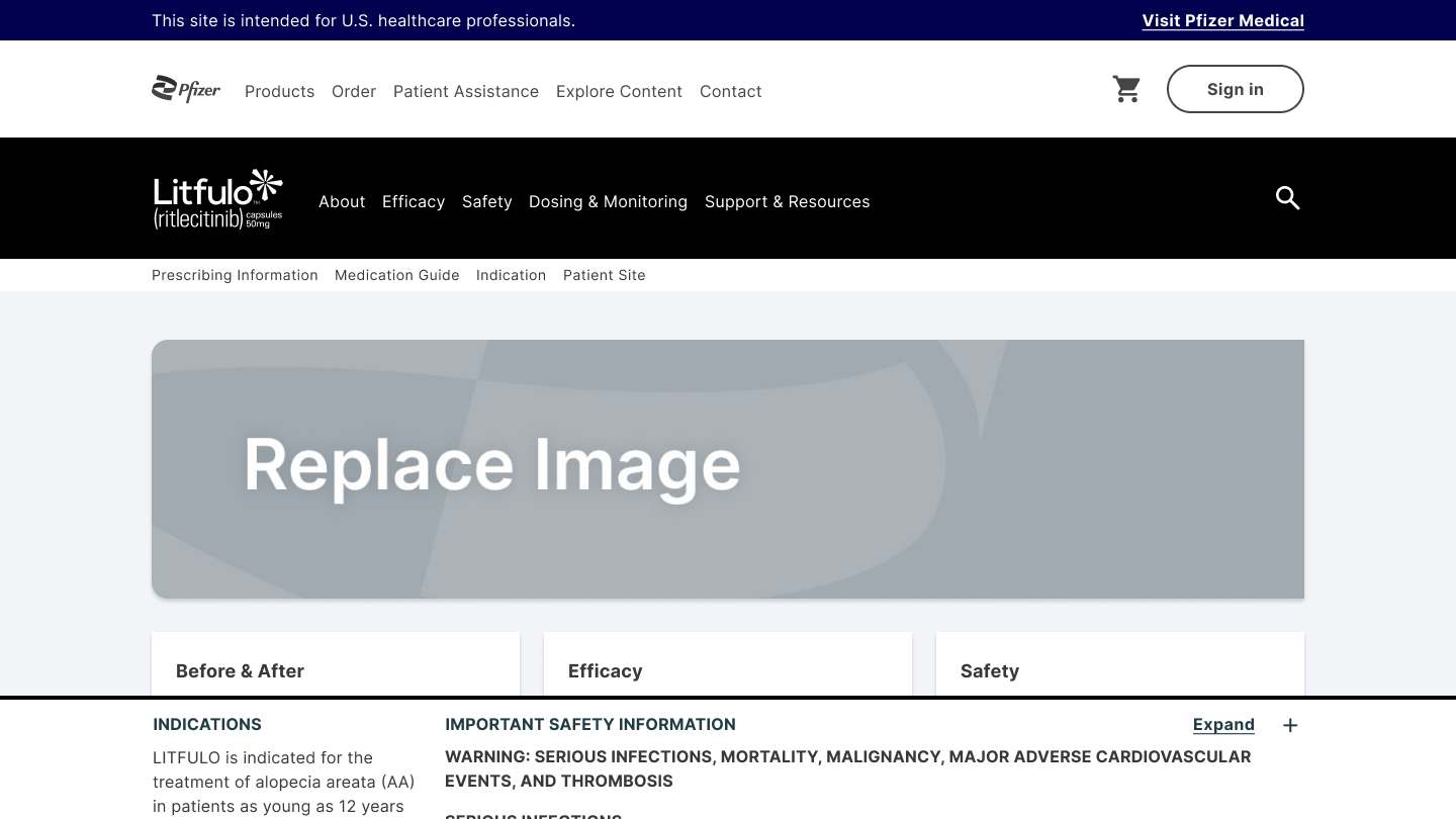 Desktop LITFULO homepage wireframe